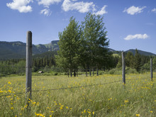 Fence In Field With Mountains In Background, Range Road 35A, Kananaskis Country, Southern Alberta, Alberta, Canada