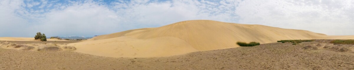 Wall Mural - panorama of the sandy desert