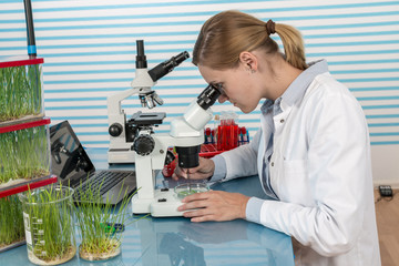 Poster - scientist with green plant in modern laboratory. woman study of genetic modified GMO plants in the laboratory