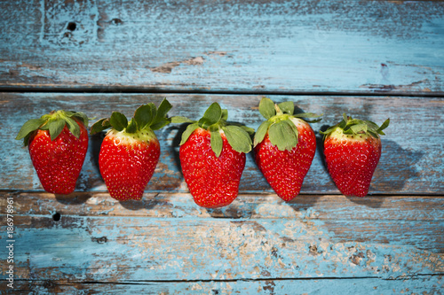Plissee mit Motiv - Row of five strawberries on blue wood (von Westend61)