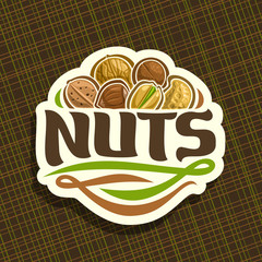 Vector logo for Nuts, cut sign with pile of healthy walnut, australian macadamia nut, sweet almond, forest hazelnut, cracked pistachio, peanut in nutshell, veg mix label with text nuts for vegan store