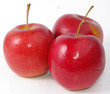 czerwone jabłka na białym tle