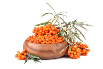 Poster - Sea buckthorn