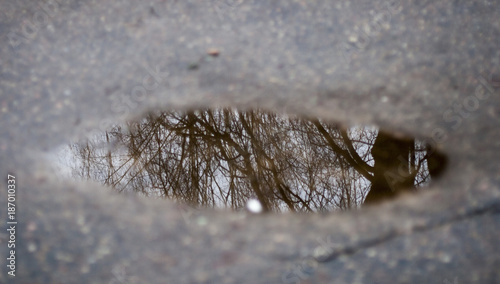 Water Reflection Abstract Tree Trees Nature Autumn