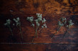 © Lea Jones/Stocksy - baby's breath on wooden table