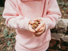Little Girl Picking Dry Pinecone