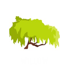 Poster - Willow tree icon. Flat illustration of willow tree vector icon isolated on white background