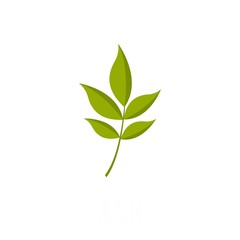 Poster - Ash leaf icon. Flat illustration of ash leaf vector icon isolated on white background