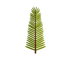 Poster - Sequoia leaf icon. Flat illustration of sequoia leaf vector icon isolated on white background