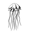 jellyfish, ink hand drawn vector illustration