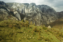 Rural Mountain Landscape In Transylvania