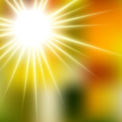 Wall Mural - Summer Yellow Warm Sunshine Soft Focus Burst - Vector Blurred Radiant Sun Rays
