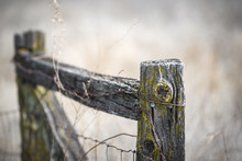 Old Weathered Fence Post