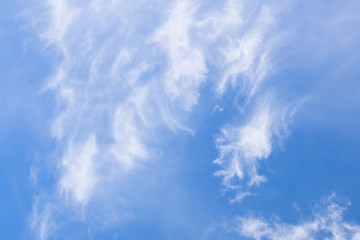 Wall Mural - blue sky with fluffy clouds
