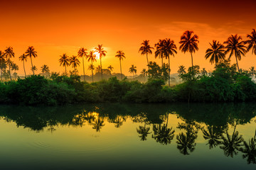 rows of palm trees reflected in a lake at dawn. Tinted.