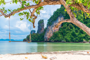 Wall Mural - wooden swing under a tree on the beach in a beautiful paradise of Thailand