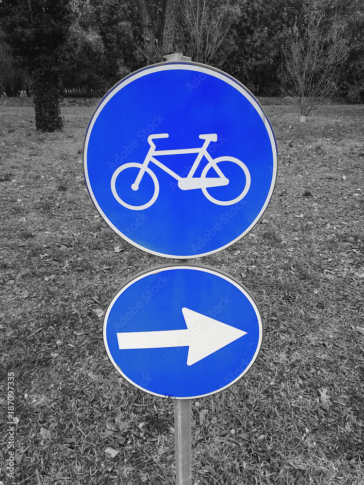 Segnale di Pista Ciclabile con Senso Obbligato Cycle Track Sign with ...
