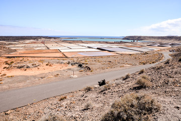 Wall Mural - Lanzarote saltworks salinas de Janubio colorful Canary Islands