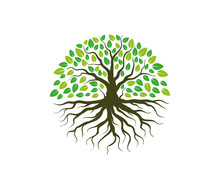 Green Forestry Strong Root Tree Logo 