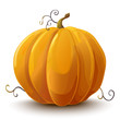 Pumpkin. Vegetable. Vector illustration