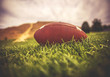 © annette shaff - a brown american football lying on green grass in a field with a hill and trees in the background toned with a retro vintage instagram filter app or action effect