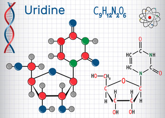 Poster - Uridine - pyrimidine nucleoside molecule, is important part of RNA. Structural chemical formula and molecule model