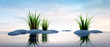 © peterschreiber.media - Steine mit Gras im See 2