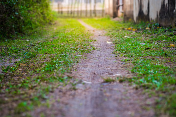 a small walkway.