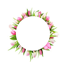 Pink Tulip Flowers In Round Frame