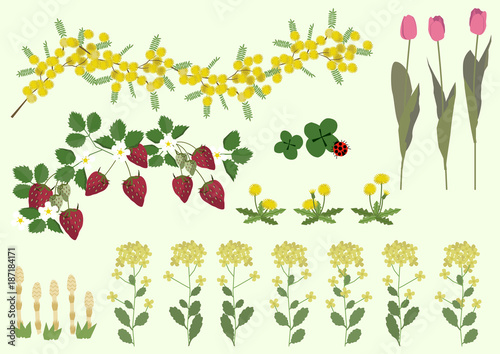 ミモザの花と春の植物 春のイメージ イラスト素材集 Vector De Stock Adobe Stock