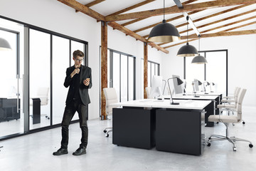 Wall Mural - Man in modern office interior