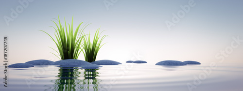 Valokuvatapetti Steine mit Gras im See 1