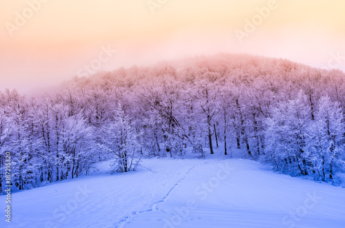 zimowy-las-gorski-w-sniegu-zachod-slonca-bieszczady-polska