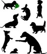 Silhouettes of dachshunds. Vector illustration. Set 4