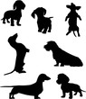 Silhouettes of dachshunds. Vector illustration. Set 2