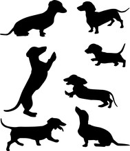 Silhouettes Of Dachshunds. Vector Illustration. Set 5
