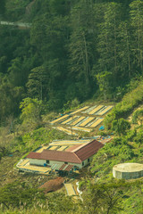 Wall Mural - Top View of Country Village at Doi Pha Tang