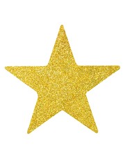 Wall Mural - Christmas star on white