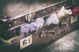 Fototapeta  - Stara walizka, pełna ubrań, porcelanowa lalka. 
