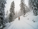 Fototapeta Tulipany - Trekkers on a winter trail in the snow, Malga Ra Stua, Cortina D'Ampezzo, Italy