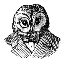 Owl Dressed Like A Man, Wearing  Monocular And Blazer.