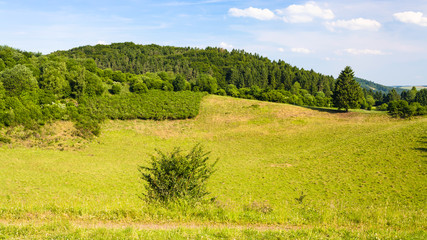 Canvas Print - landscape of Nature and Geopark Vulkaneifel