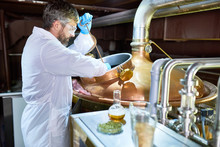 Profile View Of Talented Middle-aged Brewer Wearing White Coat And Protective Gloves Controlling Process Of Beer Fermentation While Working At Modern Beer Factory
