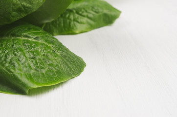 Wall Mural - Fresh leaves greens salad on white wood plank, closeup.