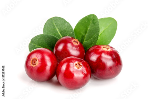 Stampe Cranberry with leaf isolated on white background closeup macro