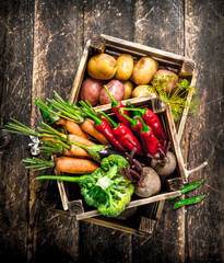 Wall Mural - Organic food. Harvest of fresh vegetables in old boxes.