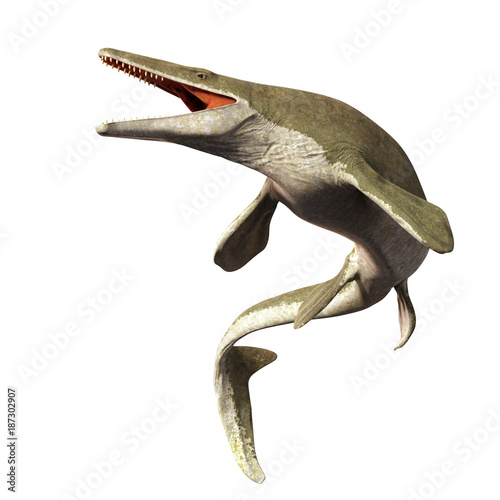 Mosasaurus, 17m aquatic lizard, between 70 and 66 million years ago Poster