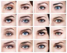 Collage Of Many Female Eyes With Different Color.