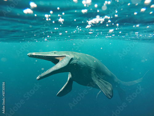 Mosasaurus, 17m aquatic lizard, between 70 and 66 million years ago Poster