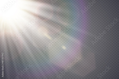 Cuadros en Lienzo Vector transparent sunlight special lens flare